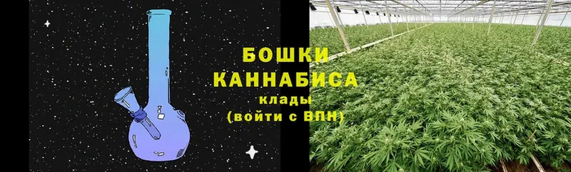 Каннабис Amnesia  Зуевка 